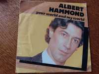 Albert Hammond - Winyl 7' - 1974 Płyta Kolekcja Retro Vintage Muzyka