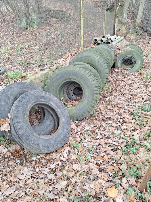 Шини, резина, скати