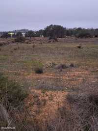 Terreno Rustico com 7240m2 situado em Vales do Algoz entre Guia e Algo
