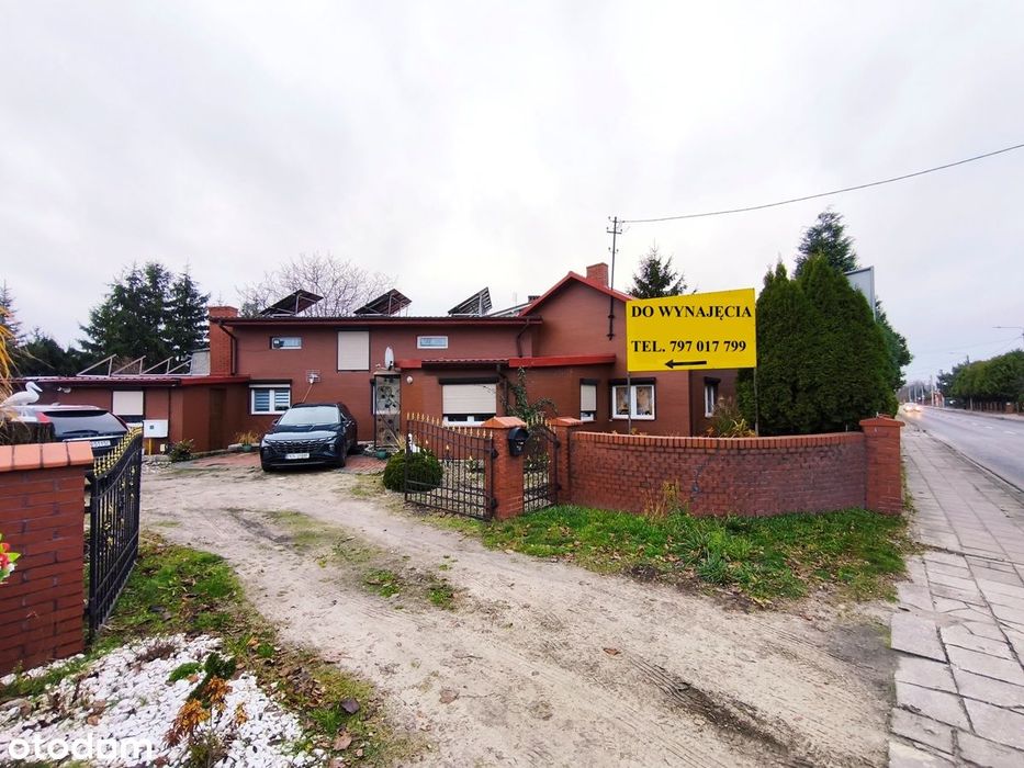 Wynajmę  parterowy dom pod Koninem, piec gazowy, fotowoltaika, działka