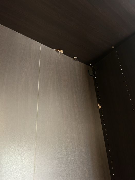 Estrutura PAX: 1 por 2,36 metros em preto