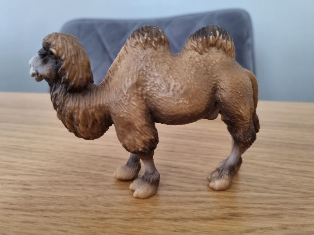 Wielbłąd schleich figurka