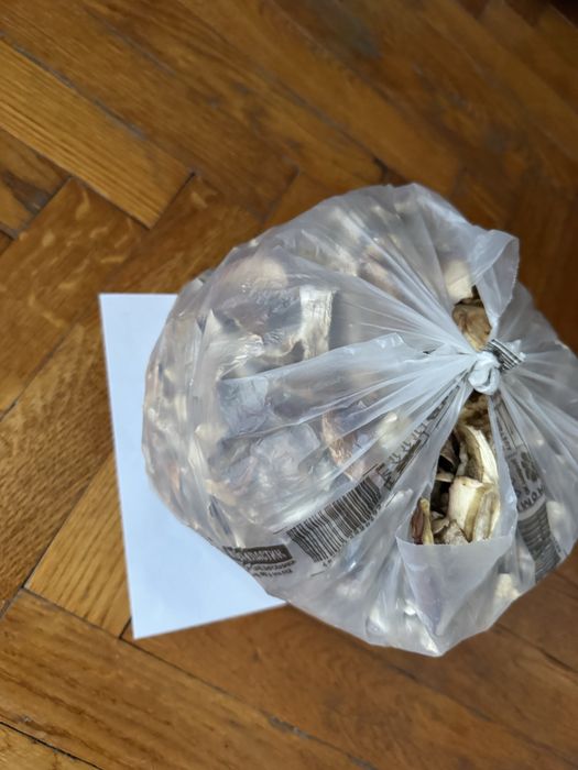 Сушені білі гриби