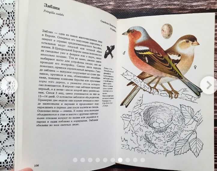 Иржи Феликс. Птицы садов, парков и полей
