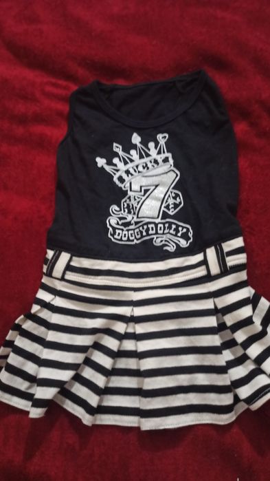 Одяг для собак маленьких порід