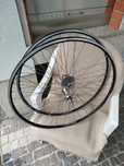 Rodas campagnolo veloce, aros Ambrosio evolution TQB novos