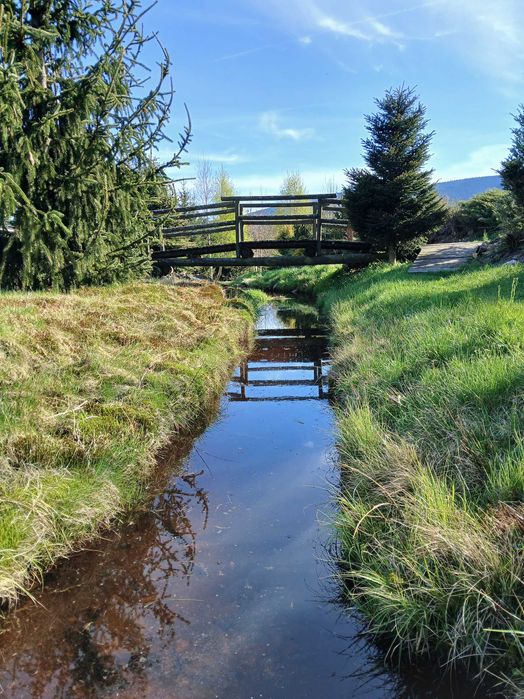 Noclegi Zieleniec, Czarna Góra