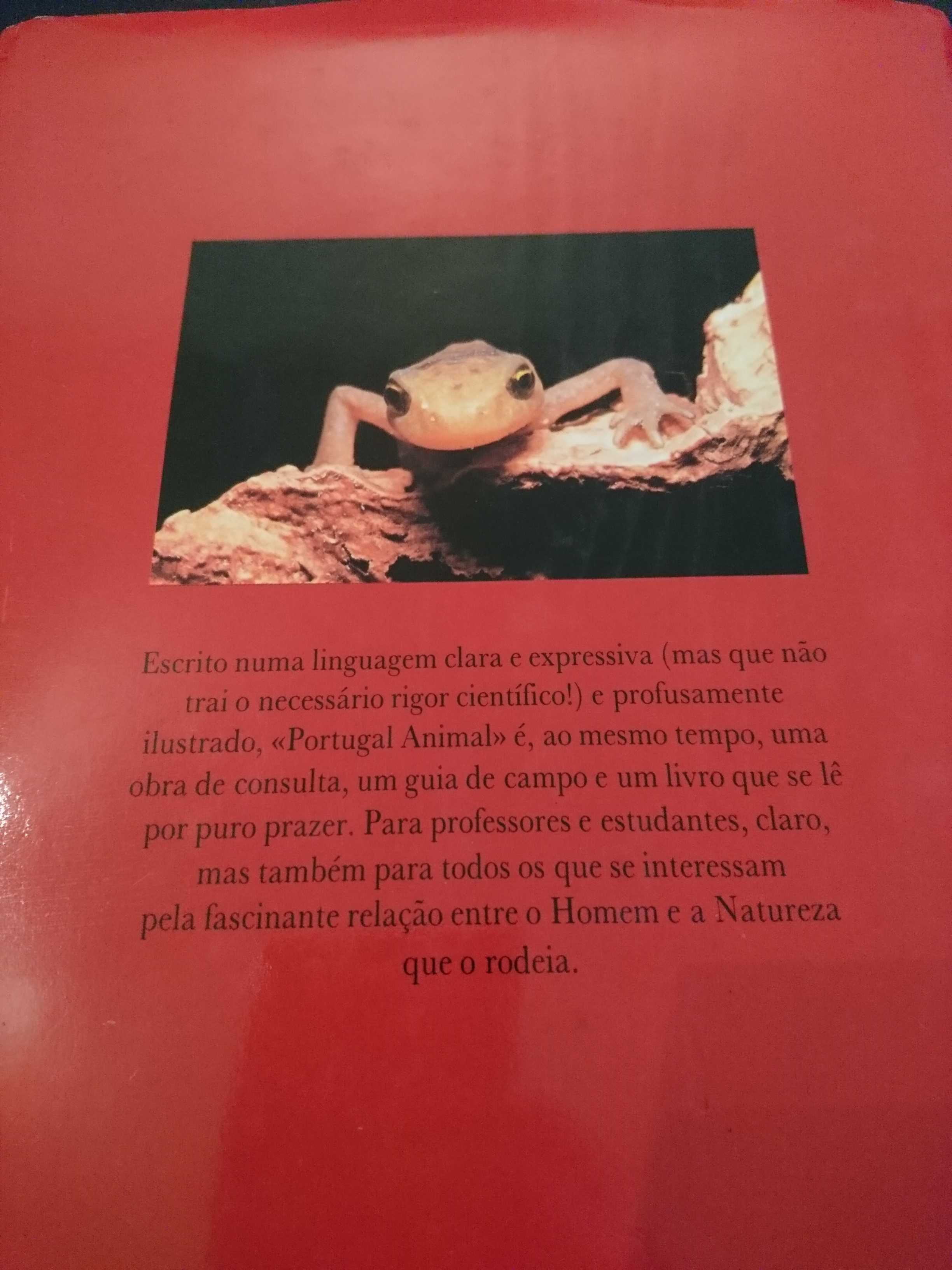 "Portugal Animal", Clara P. Correia/ "Animais em Perigo"
