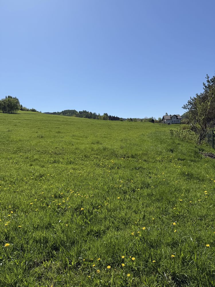 Działka budowlana nr 841 o pow. 0,33 ha Frycowa gm. Nawojowa