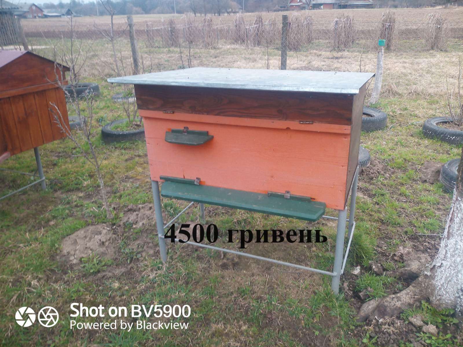 Продаються вулики