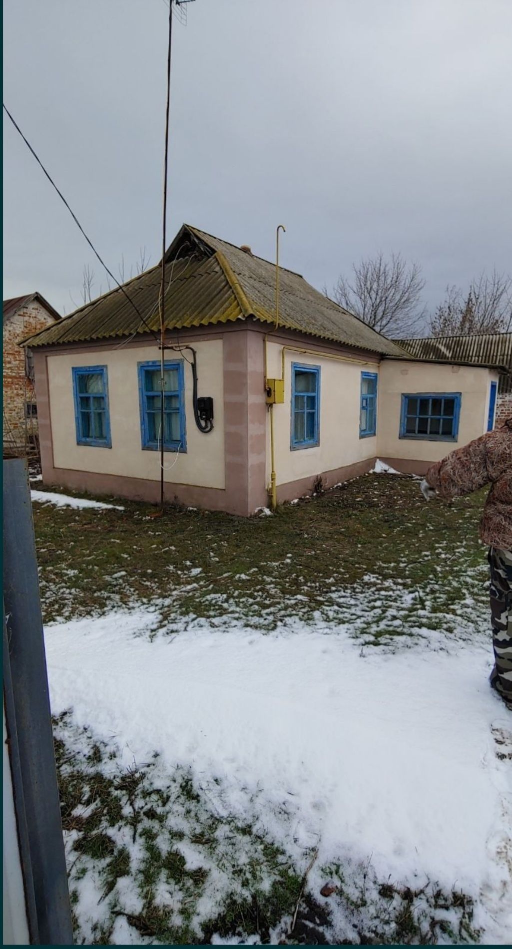 Термвново поодам будинок