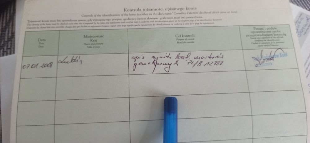 Klacz Śląska ze źrebówka PILNE