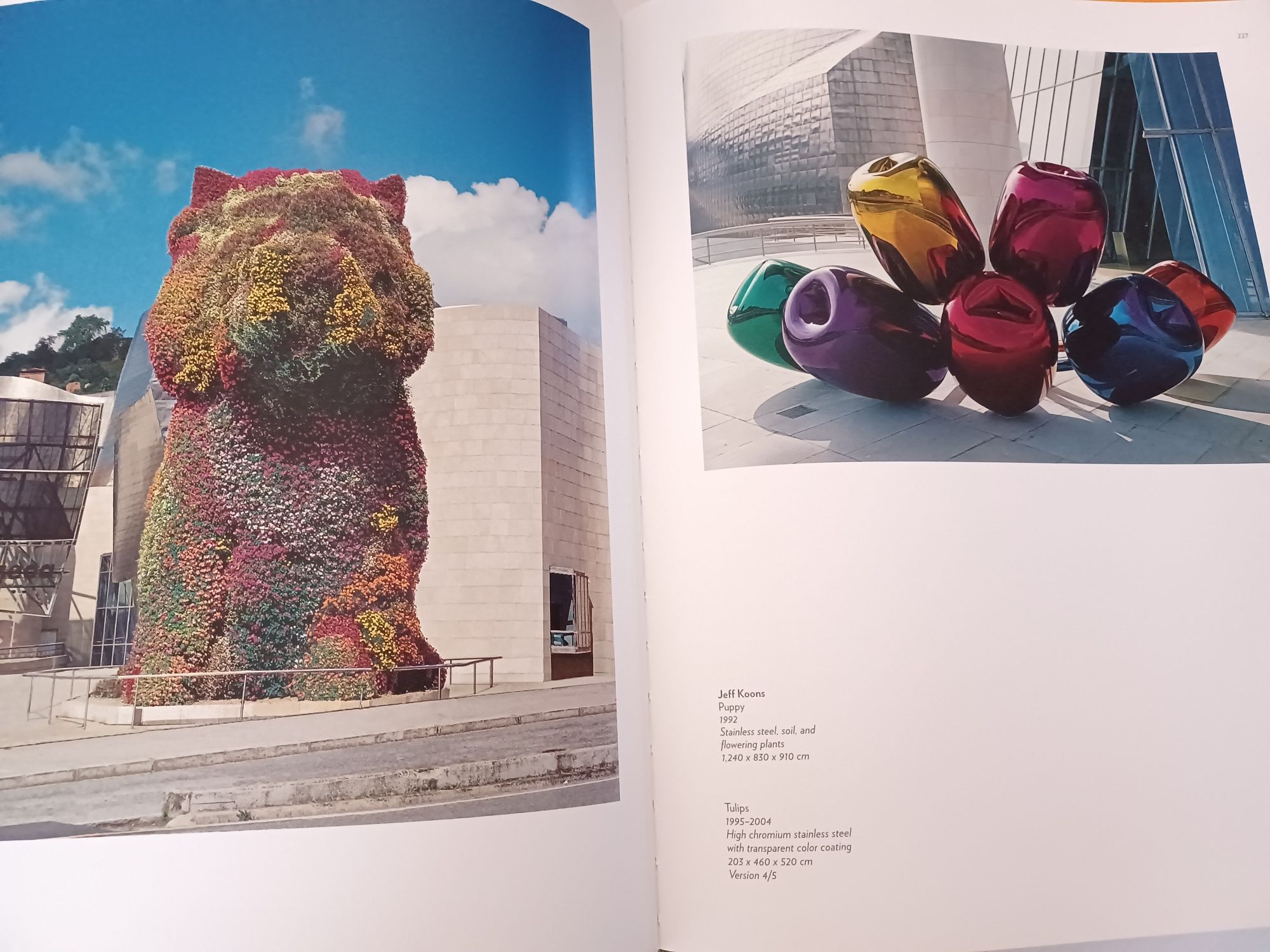 Book Guggenheim Museum Bilbao Collection