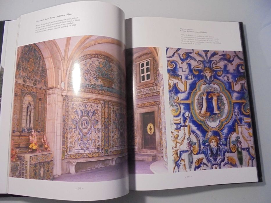 Sabo (Rioletta-Jorge Nuno Ferreira);Azulejos-Arte e História