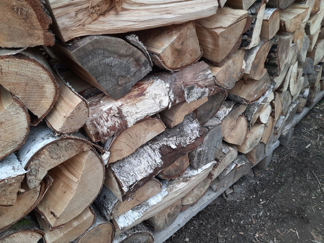 Drewno kominkowe opałowe liściaste i iglaste