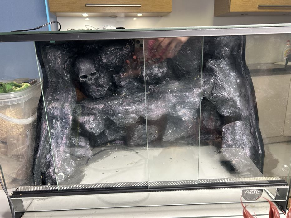 Terarium z dodatkami