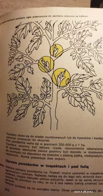 „abc ogrodnictwa” M.Cegłowski T.Dąbrowski B.Kowalski E.Mianowska i.in.