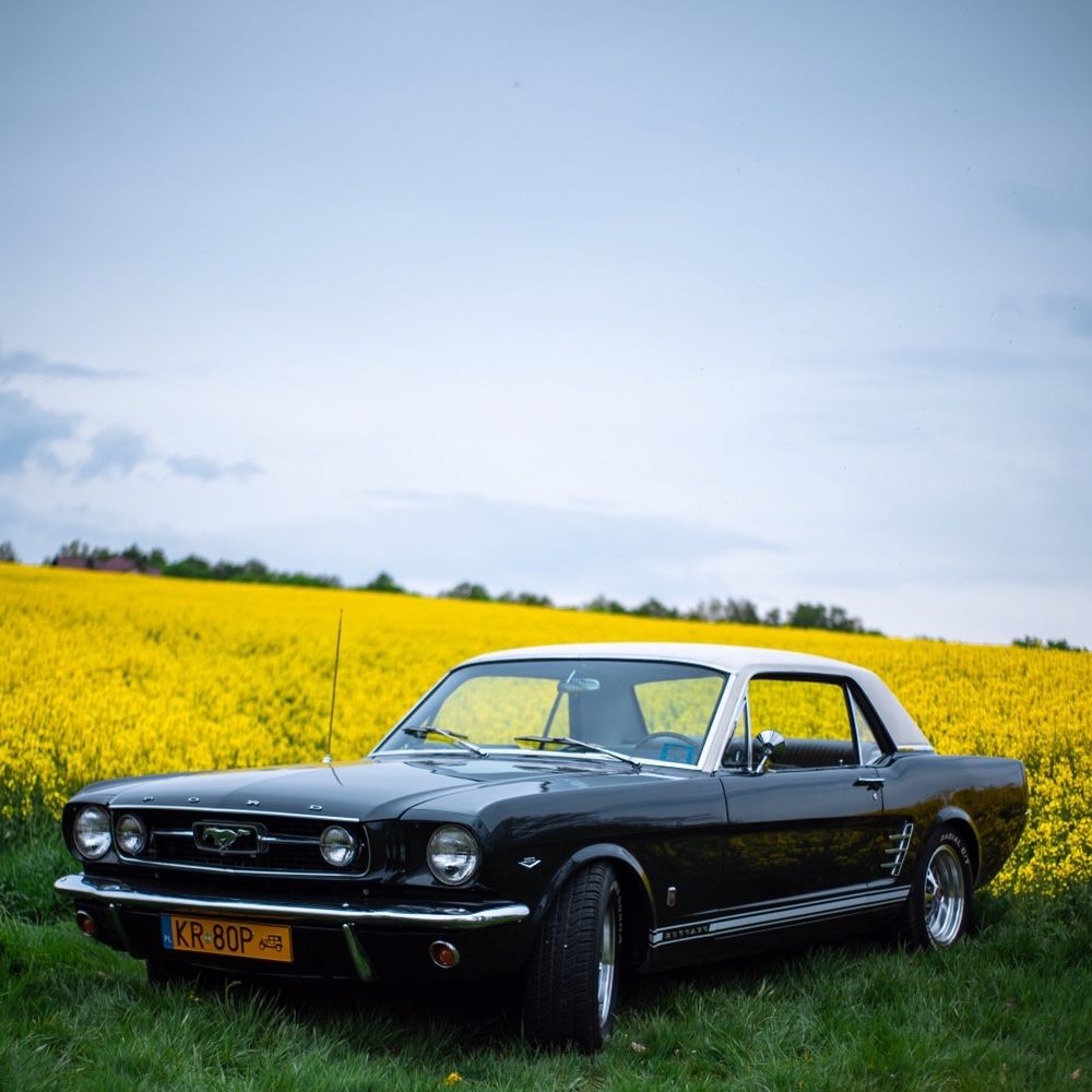 1966 Ford Mustang GT 289 V8 225KM Ivy Green Metallic auto do ślubu!