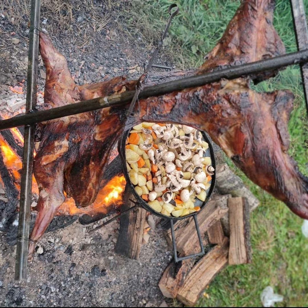 М'ясо баранини , свіже, молочні ЯГНЯТА