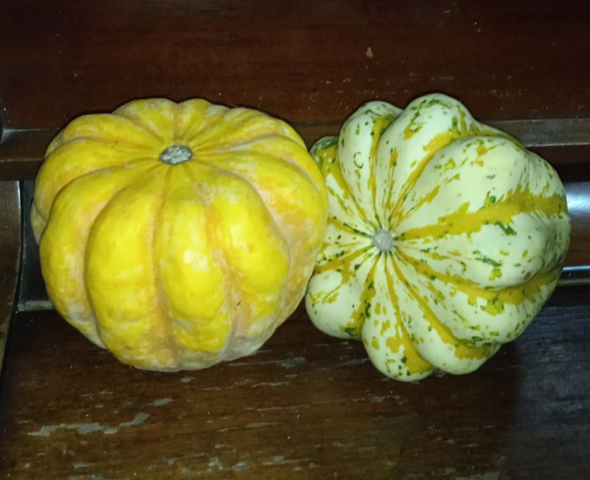 Семена декоративной тыквы