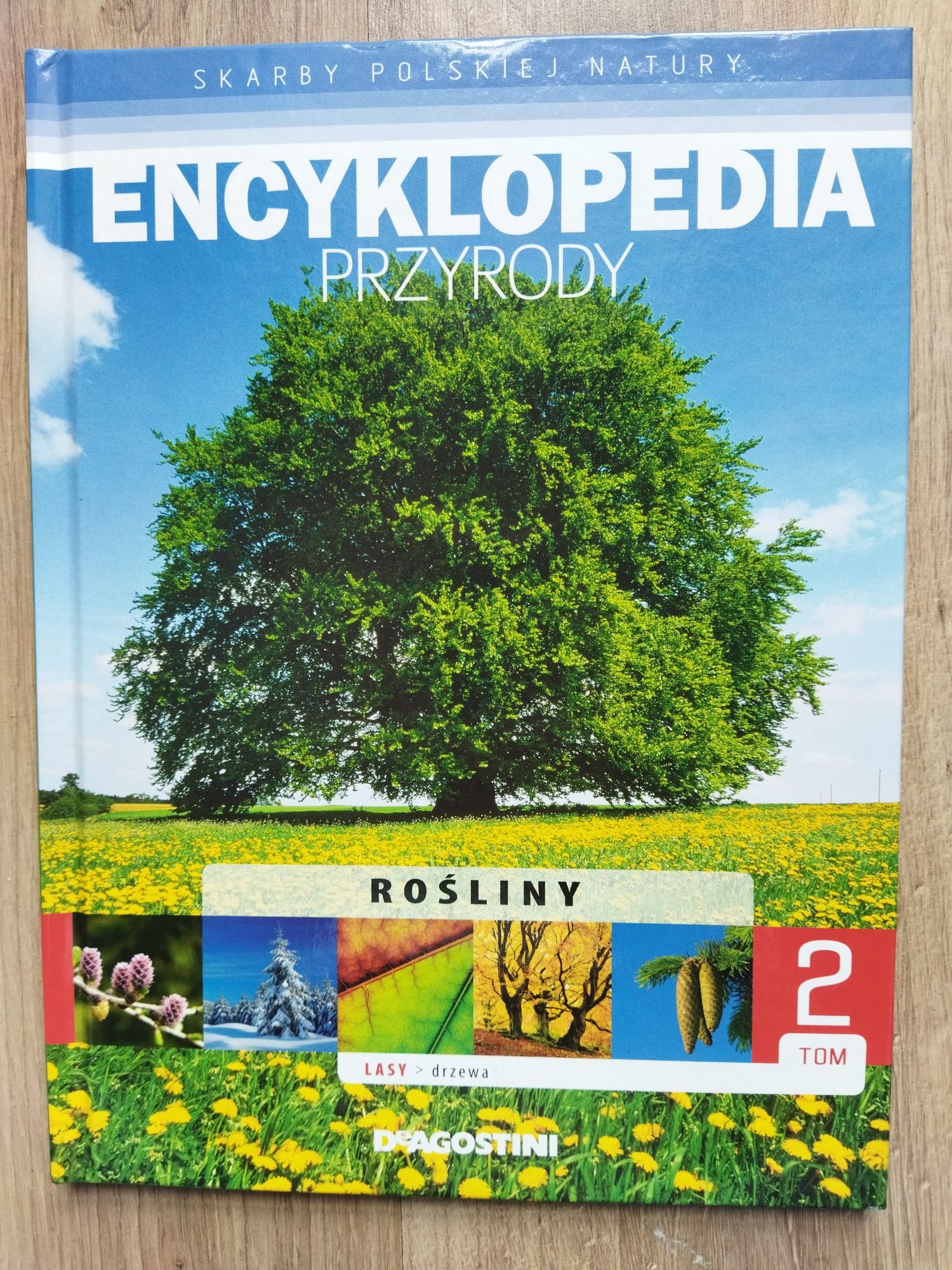 Encyklopedia przyrody - rośliny tom 2