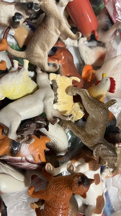 Різноманітні свійські тваринки