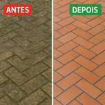 Limpeza de pisos e paredes externas – Remoção de musgo e manchas