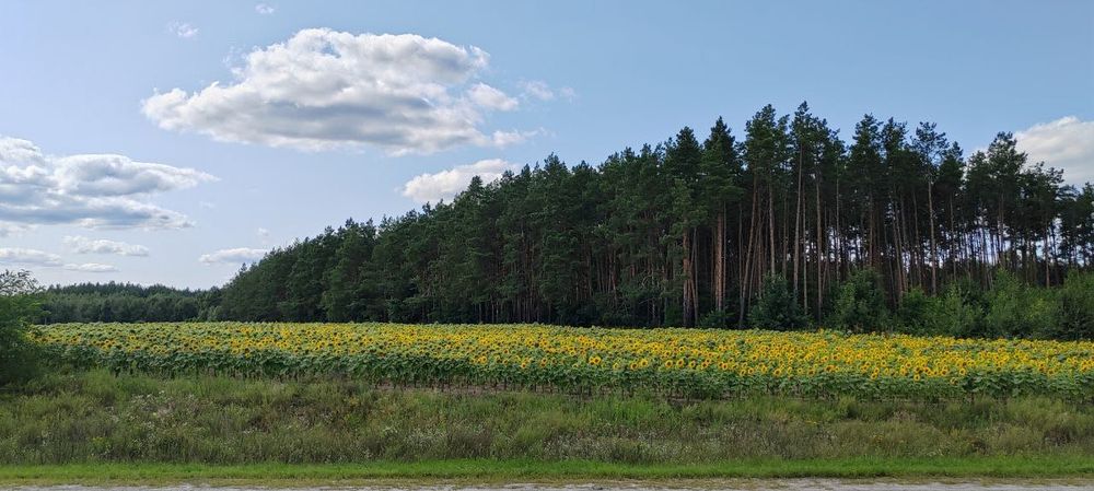 Земельна ділянка с. Червоне Бучанського району