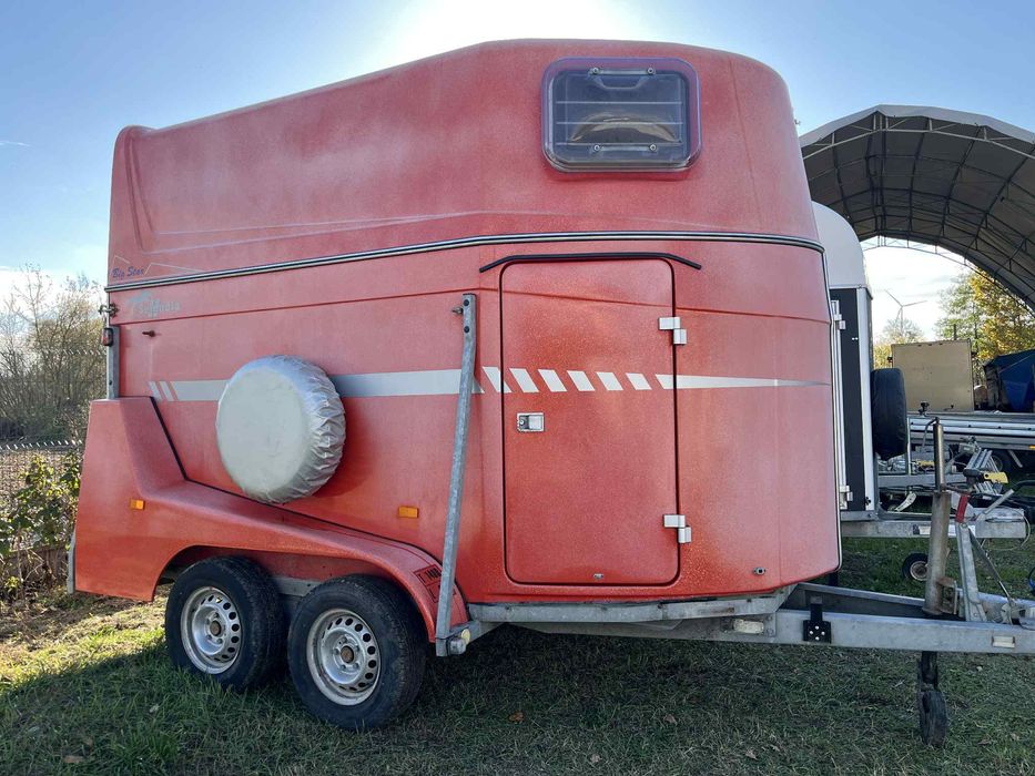 Przyczepa do koni Selandia