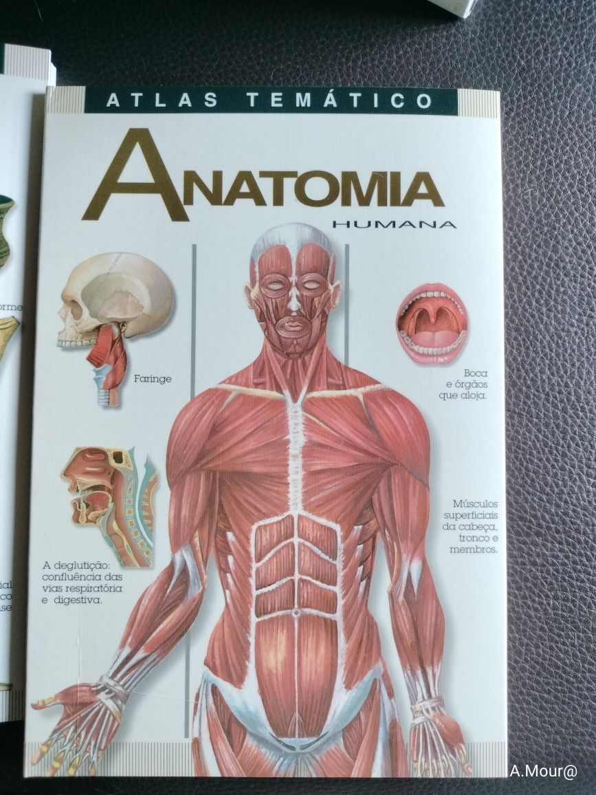 Box com 5 Atlas temático