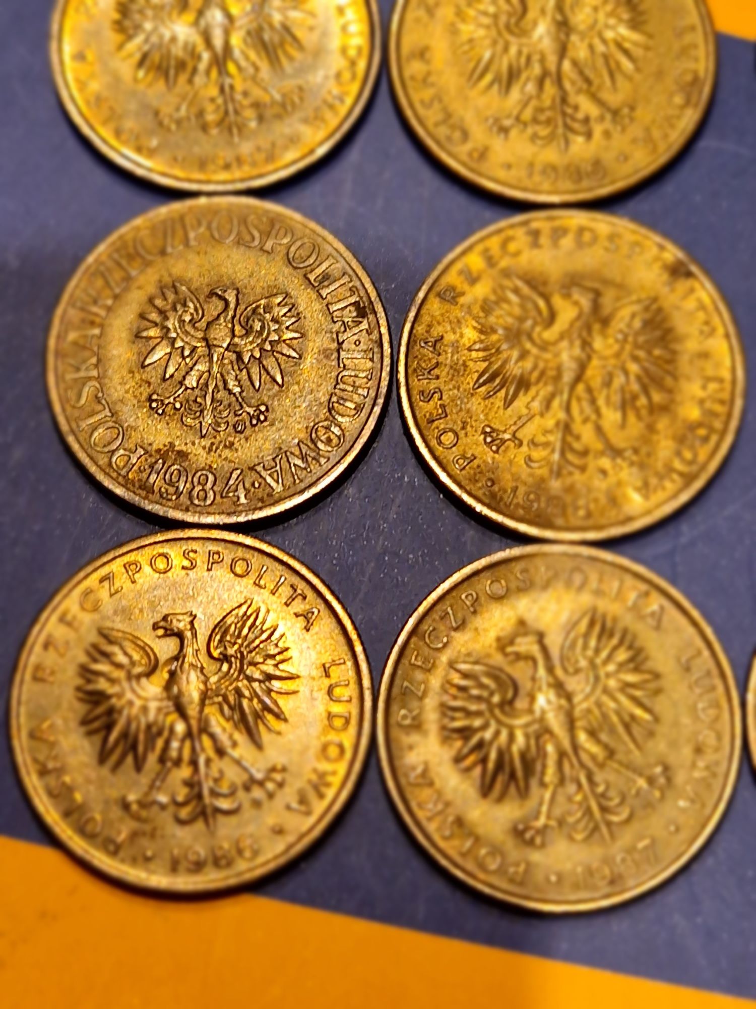 Moneta 5zł, 1984- 1988r