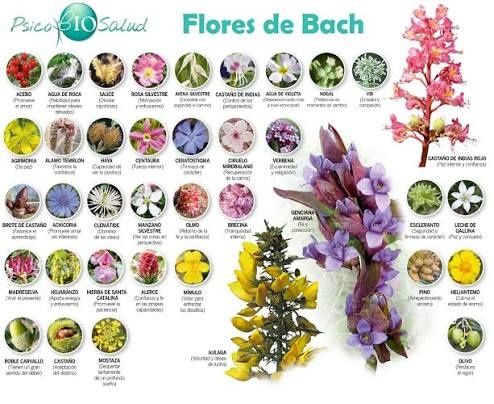 Staż jako medium online. Sesje zgodnie z tym, czego się nauczyłam