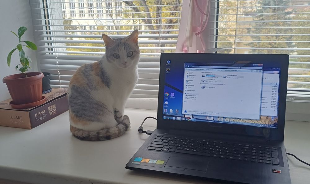 Ноутбук Lenovo G50-45 (AMD A8 / 4 ядра / 4 ГБ / 1 ТБ / Radeon R5)