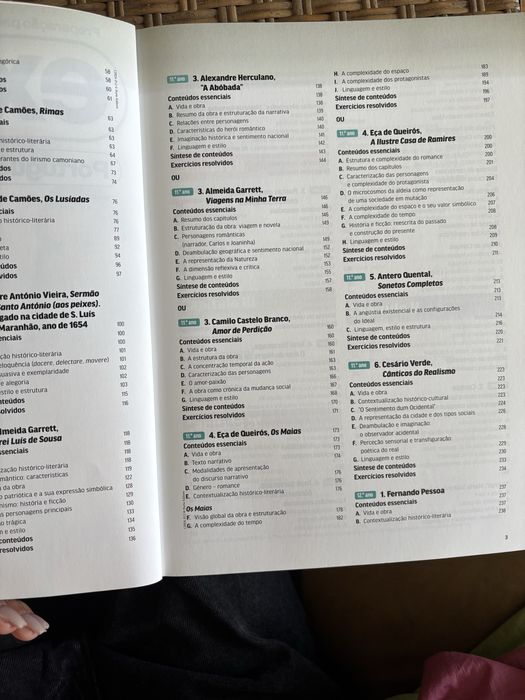 Livro exame portugues 2024