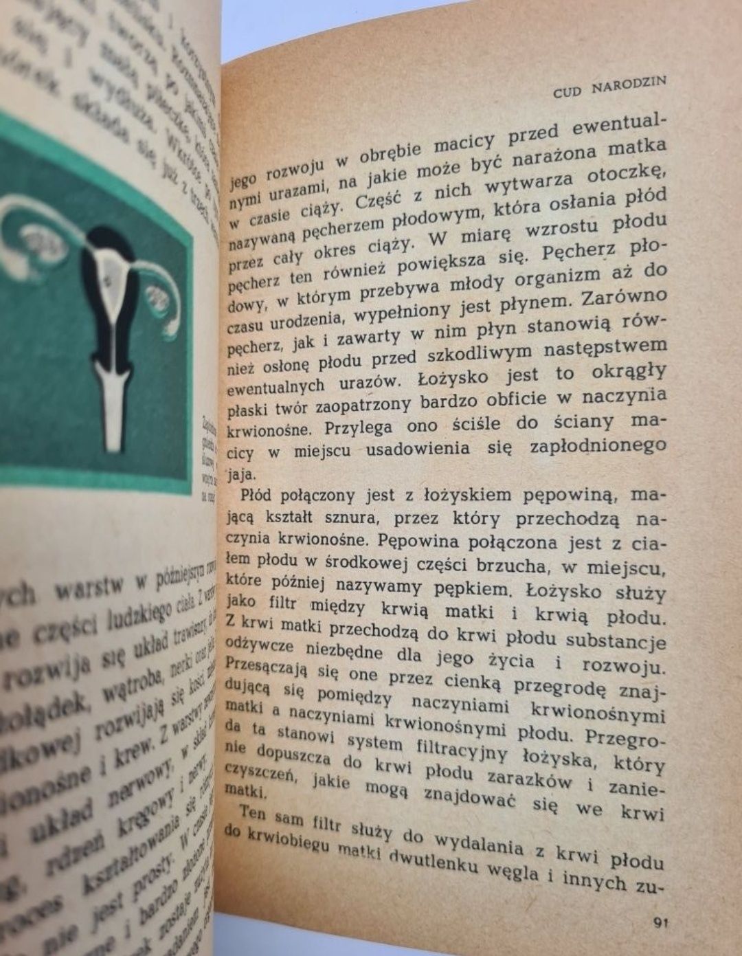 O dojrzewaniu seksualnym - Lester F. Beck. Książka