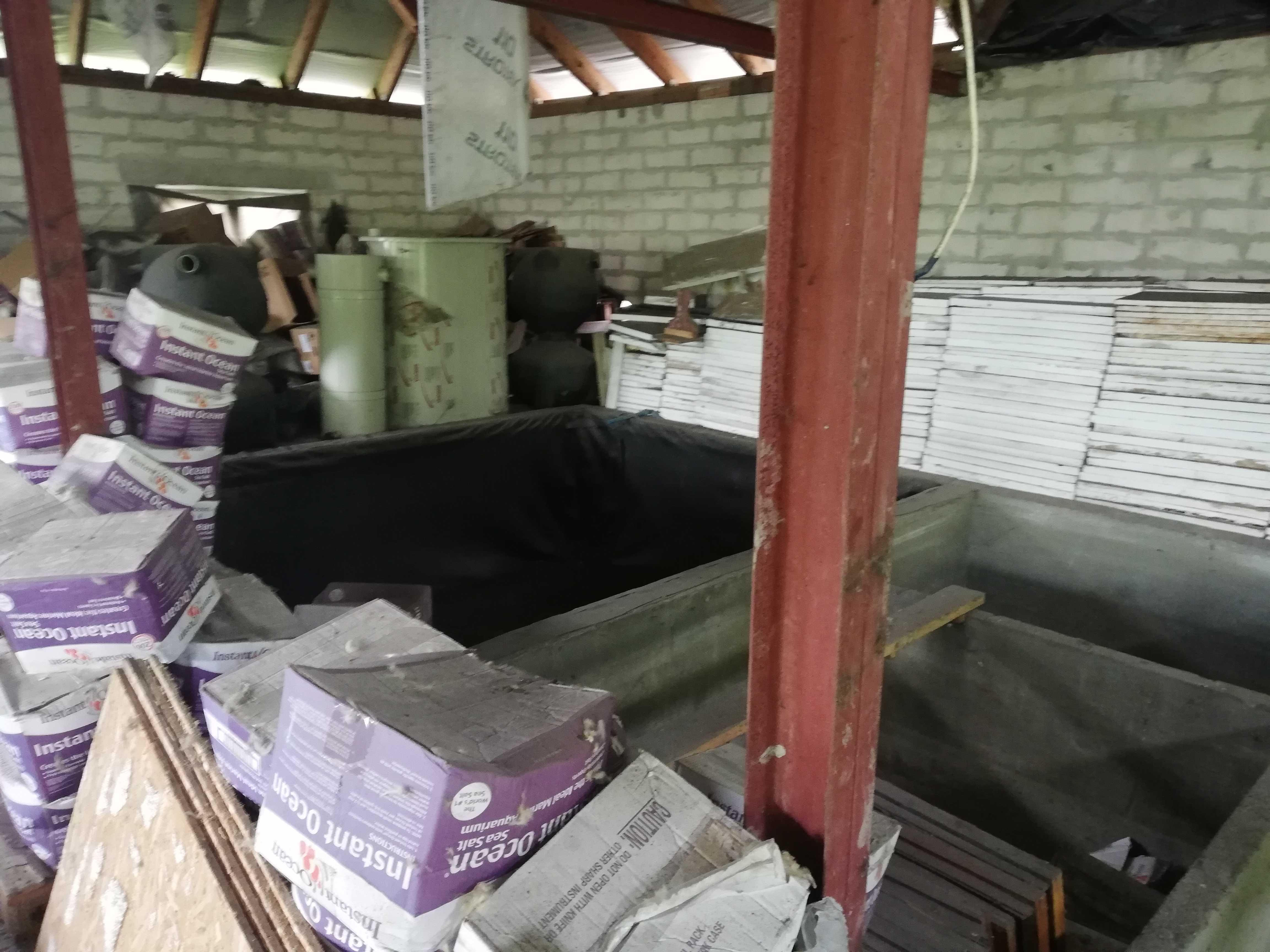 Продається нежитлова будівля с.Віта-Поштова, вул. Звенигородська,118/1