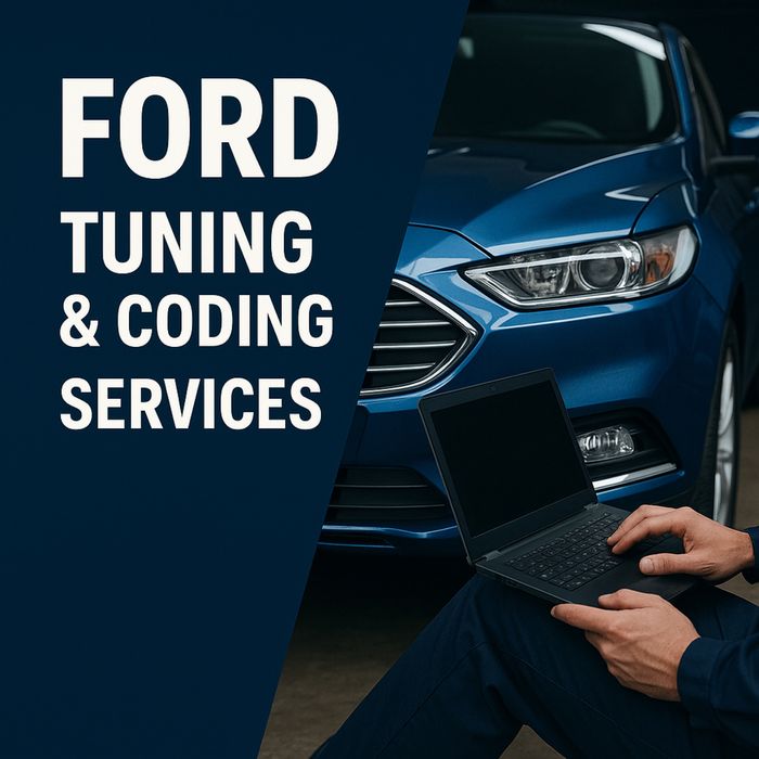 Мовна адаптація,прошивка та профільна діагностика Ford