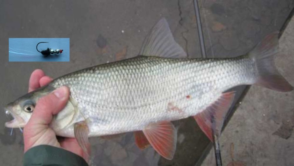 Mikro, micro jigi   zestaw 10 szt