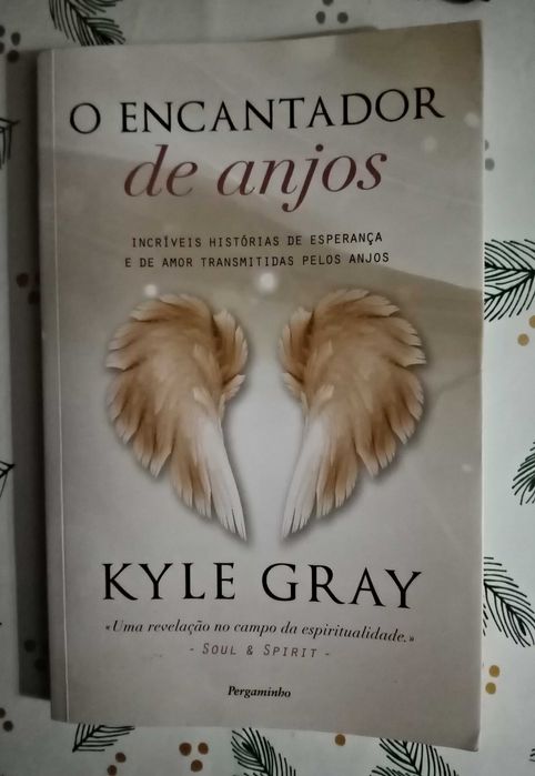 O Encantador de anjos - Kyle Gray = 5 euros