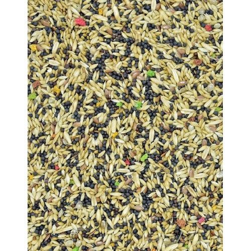 Karma dla kanarka Standard KS Vita-Organic 10 kg.