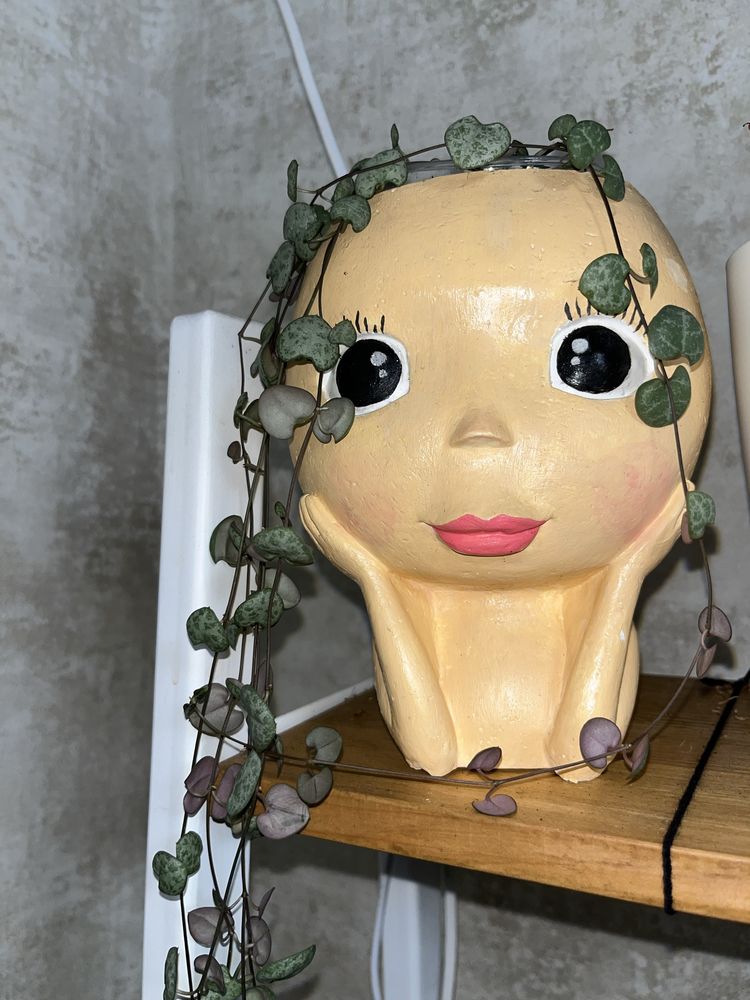 Церопегія