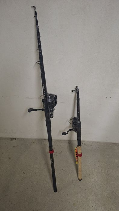 Wędki Karpiówka Daiwa Spining DAM