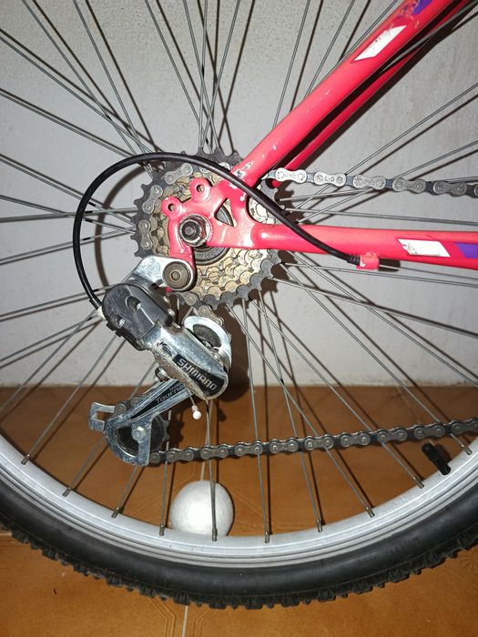 Bicicleta Oportunidade