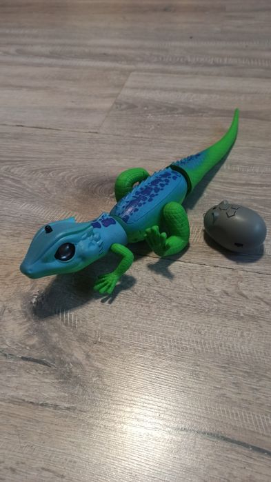 Jaszczurka na pilota