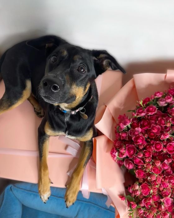 Габі шукає родину