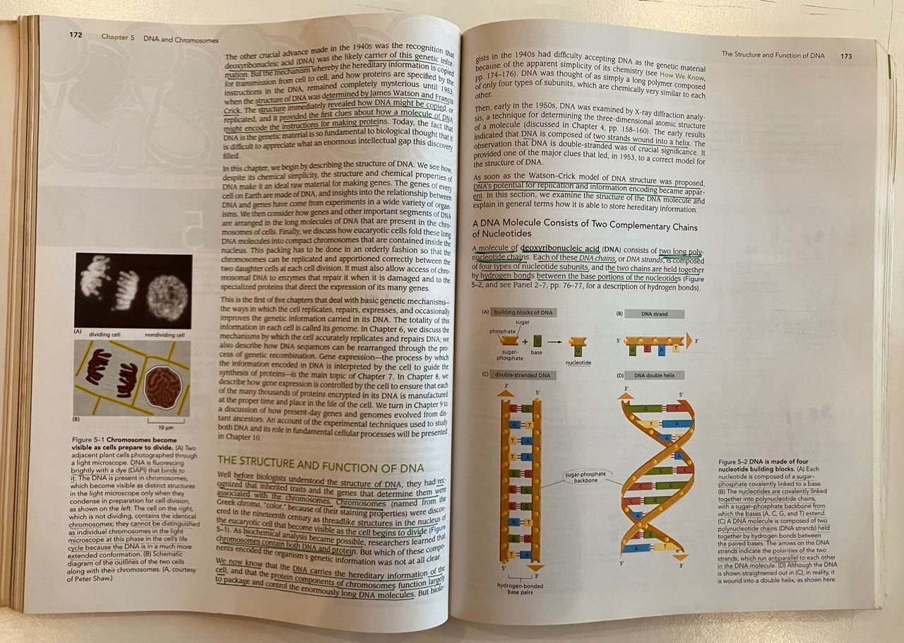 LIVRO Essential Cell Biology - Alberts (3.ª edição)