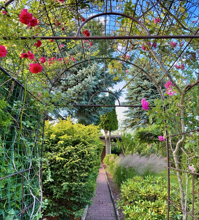 Ogród Działkowy na Rod Koninko