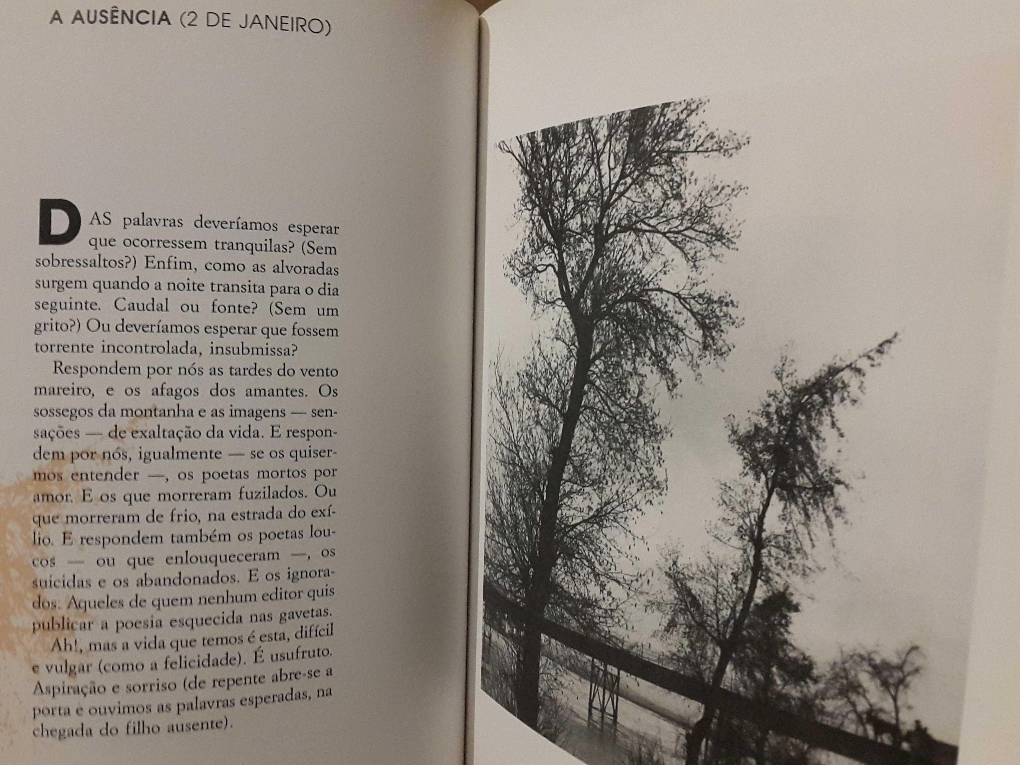 Helder Pacheco / Emídio Carvalho Rebelo - Os Dias Comuns