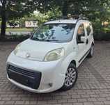 Fiat Fiorino Fiat Qubo / Fiorino Trekking 1.3 Multijet