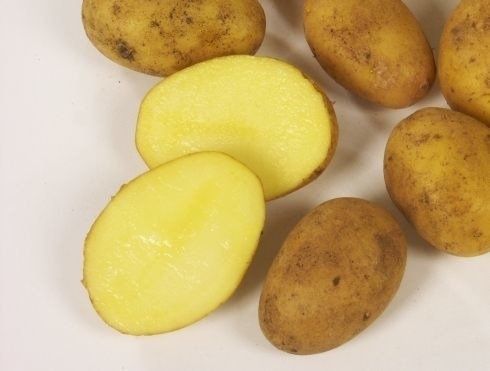 Ziemniaki/sadzeniaki odmiana DENAR